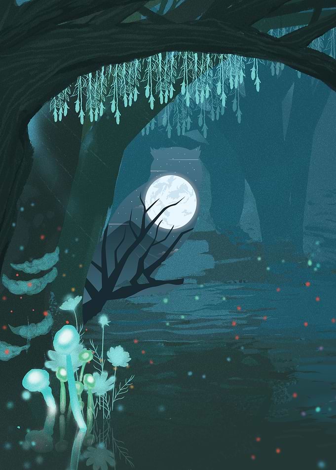 Owl in the Forest