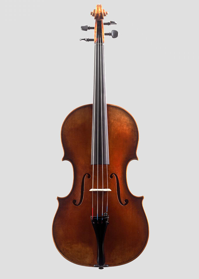 The Viola
