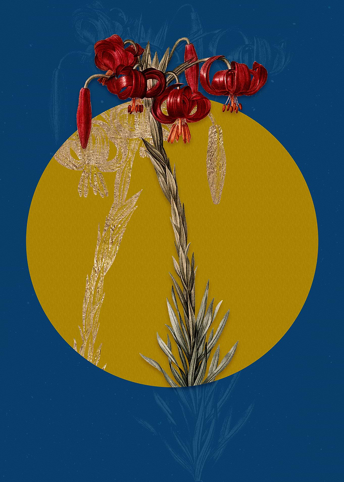 Vintage Lily Red Flower