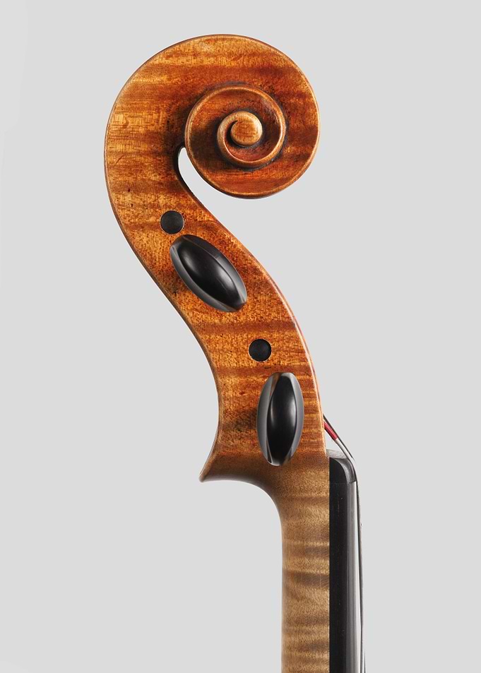 The Viola
