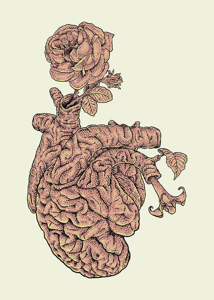 Brain Heart