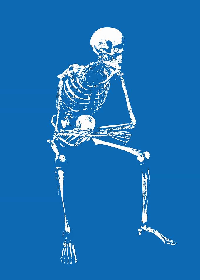 The skelton sit