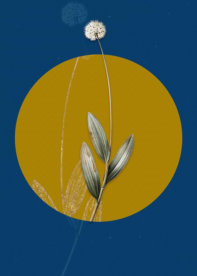 Vintage Victory Onion