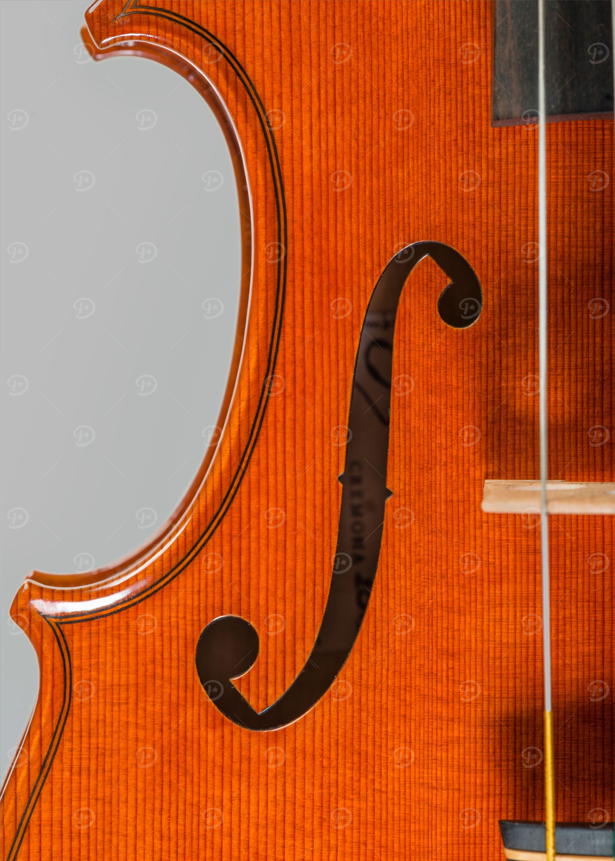 Contemporary Violin