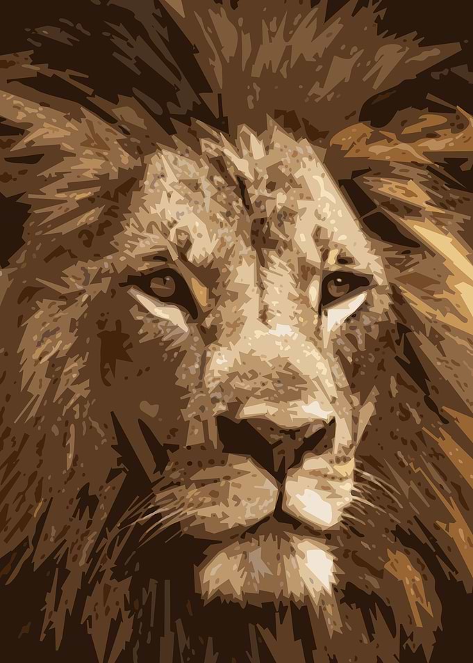 The King
