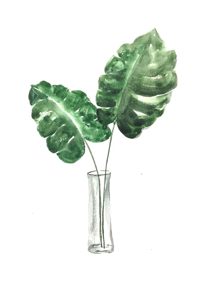 Botanical