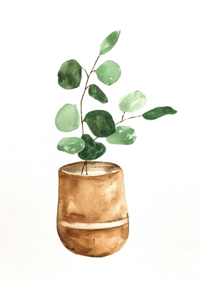 Botanical