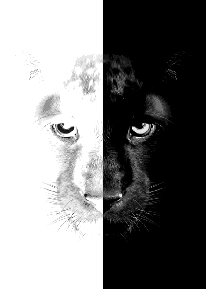 Panther