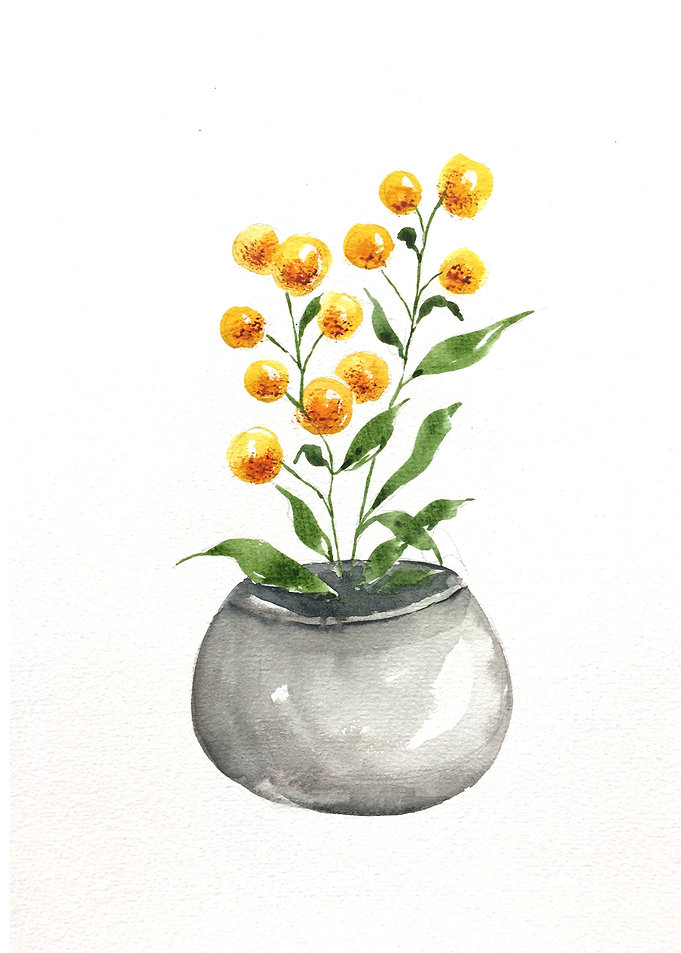 Botanical