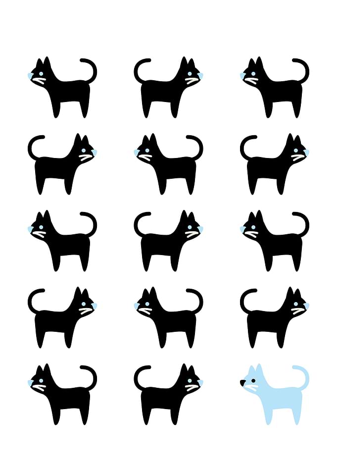 Cat Pattern
