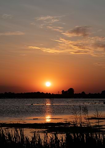 Golden sunset