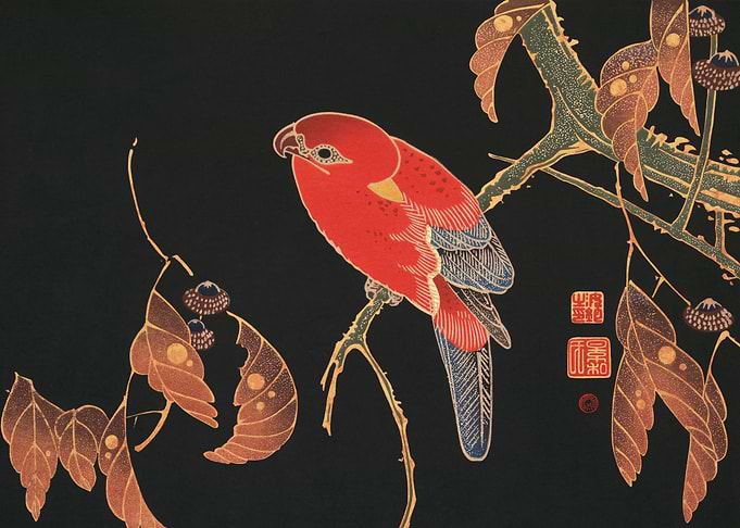 Red Parrot on the Branch