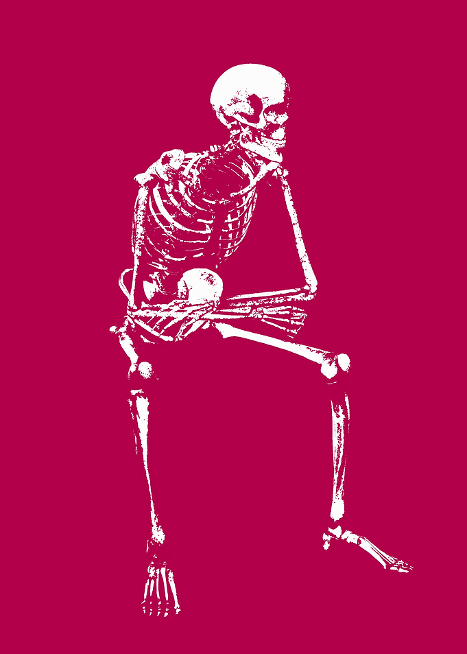 Skeleton sit