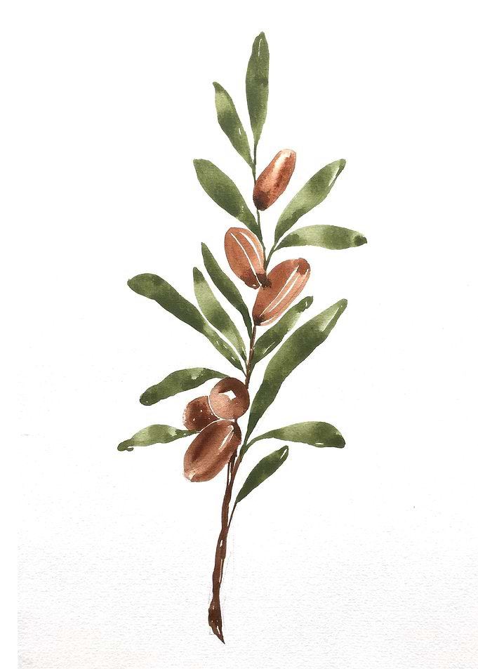 Fruit