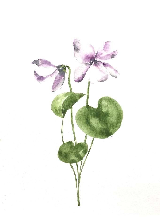 Botanical