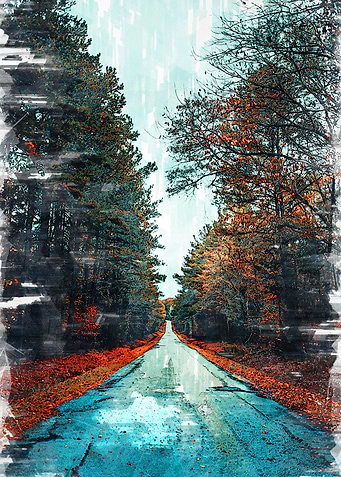 Forest Straight Road