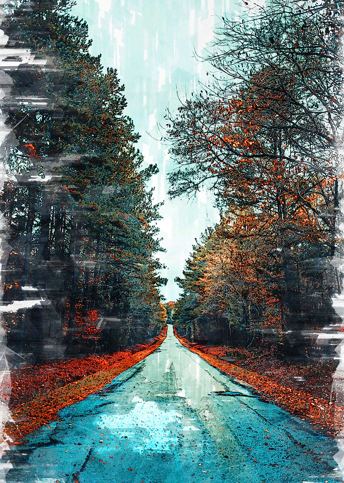Forest Straight Road
