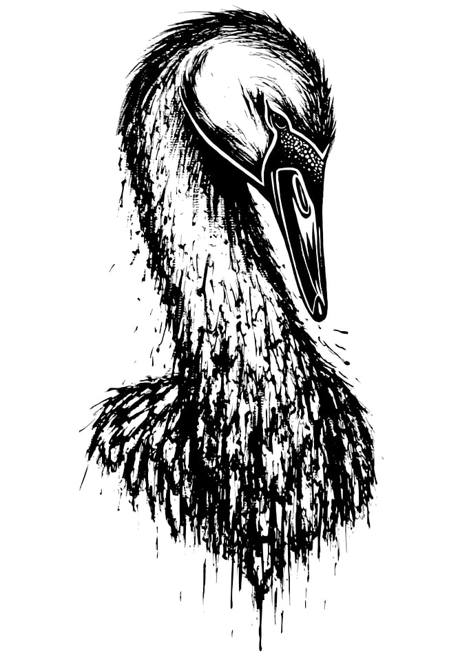 Swan Ink Dripping
