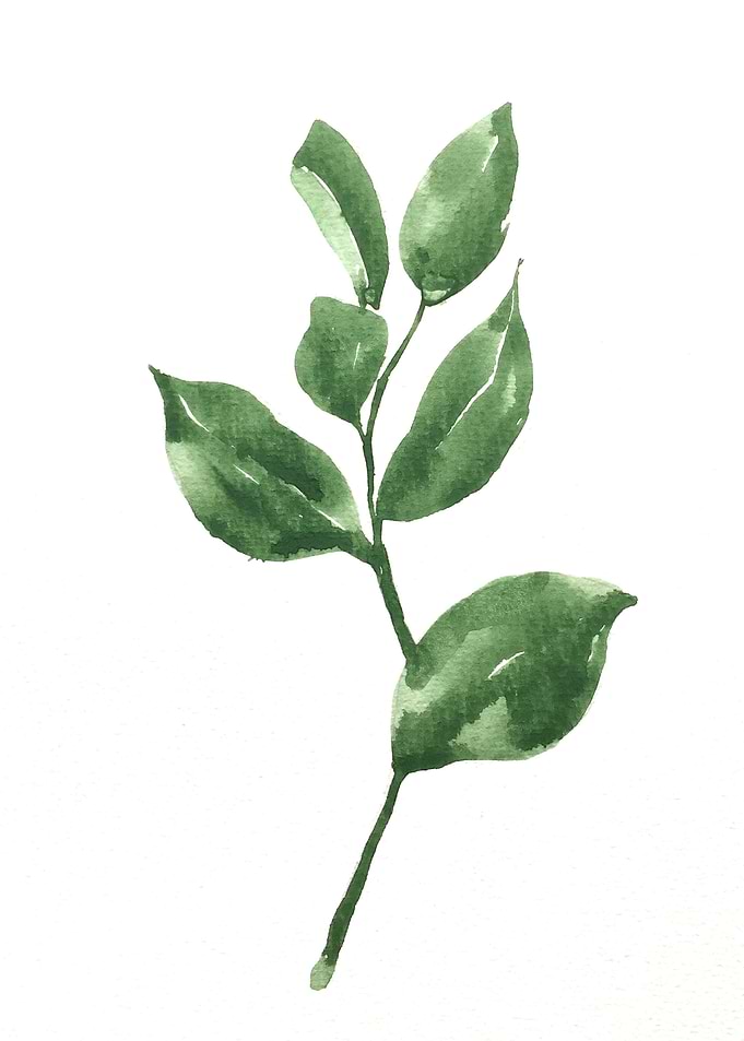 Botanical