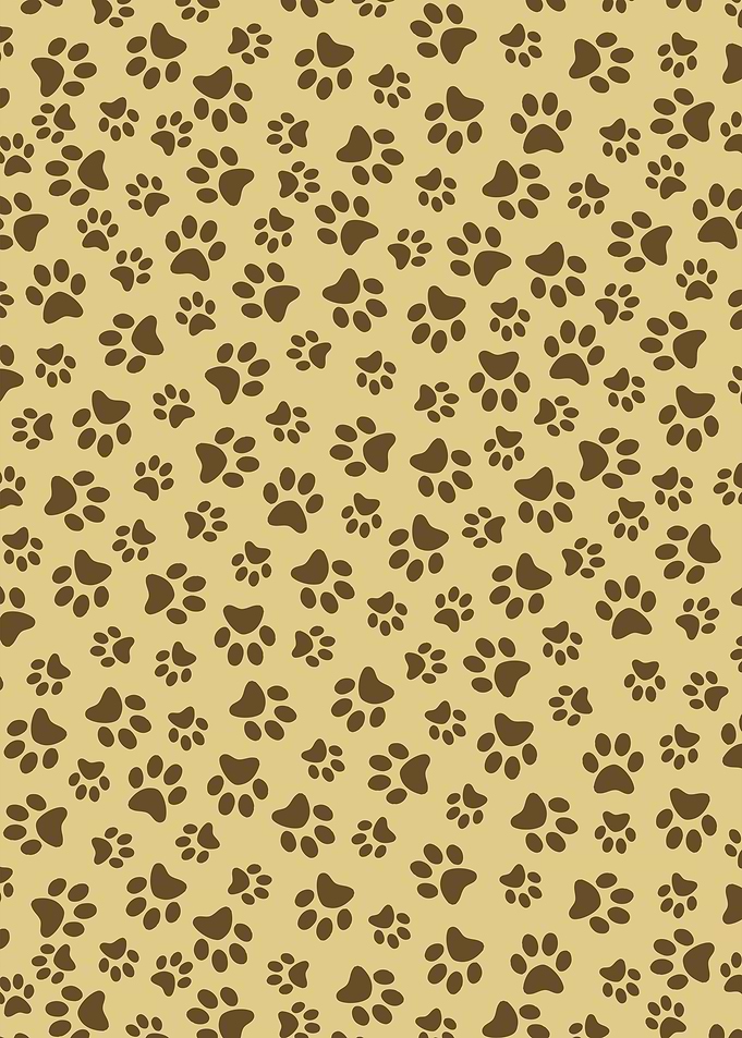 Cat Paw Pattern