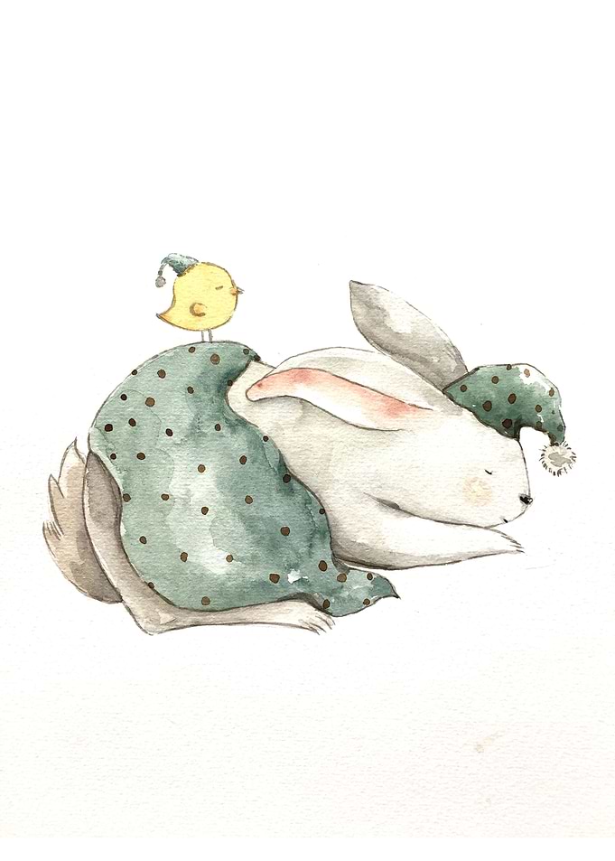 Animal