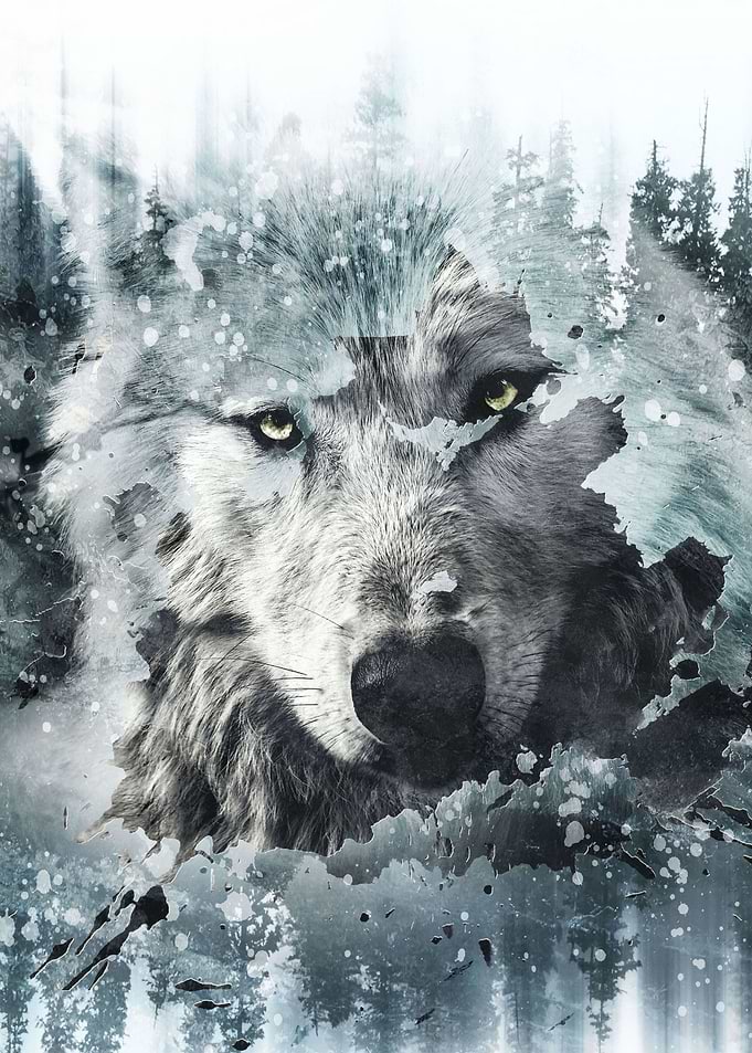 Call of the Wild
