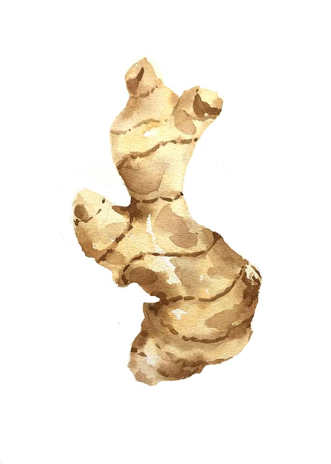 Vegetable