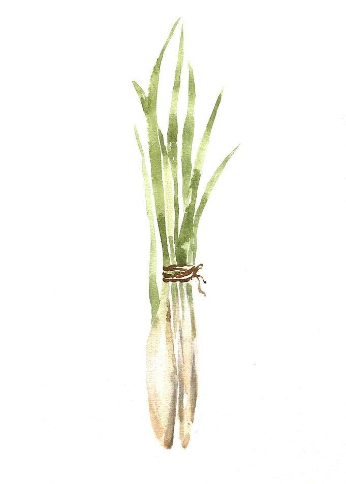 Vegetable