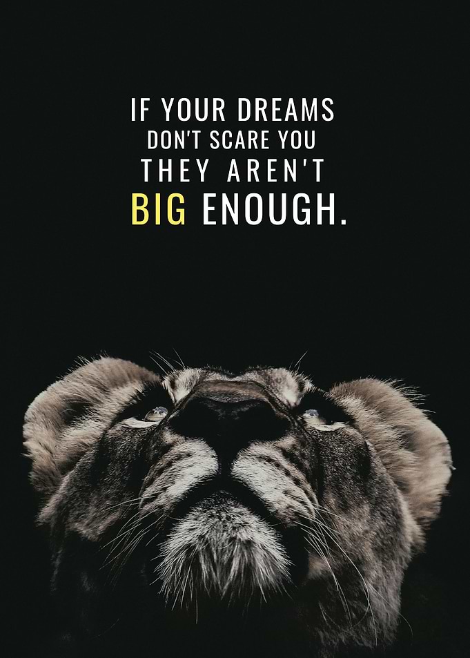 Have big Dreams