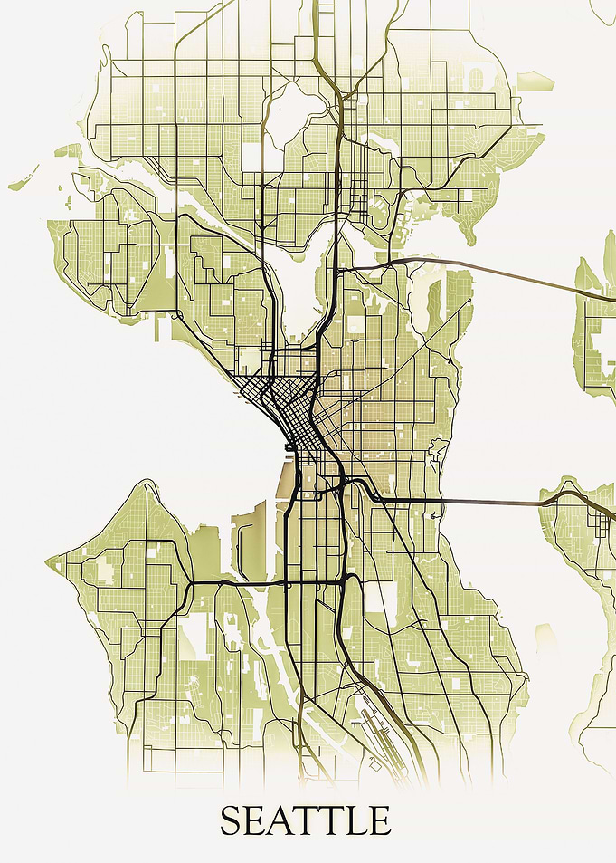 Seattle Monocrome Map