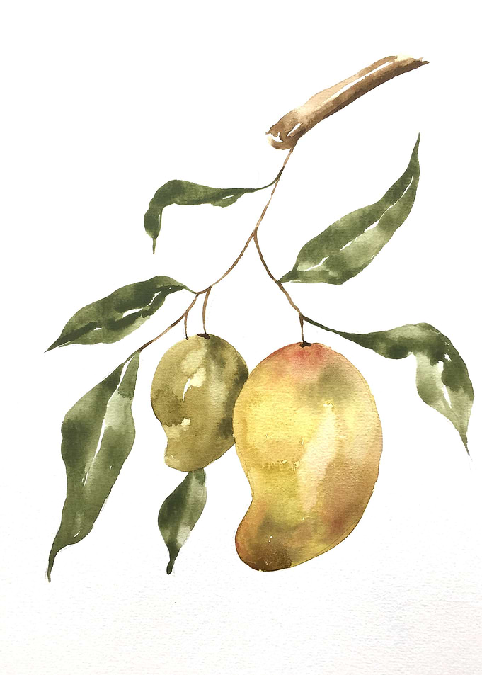 Fruit