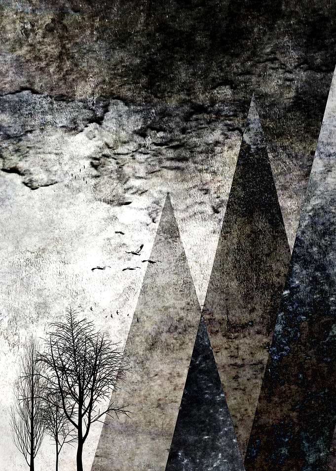 TREES besides MAGIC M I