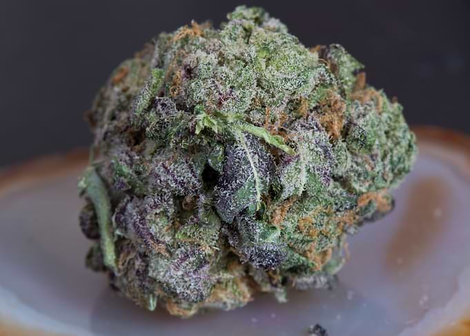Grape Medical Marijuana