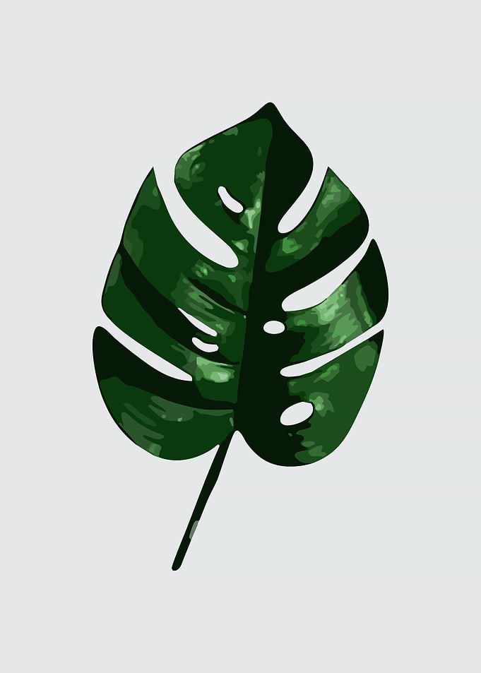 The Leaves 2