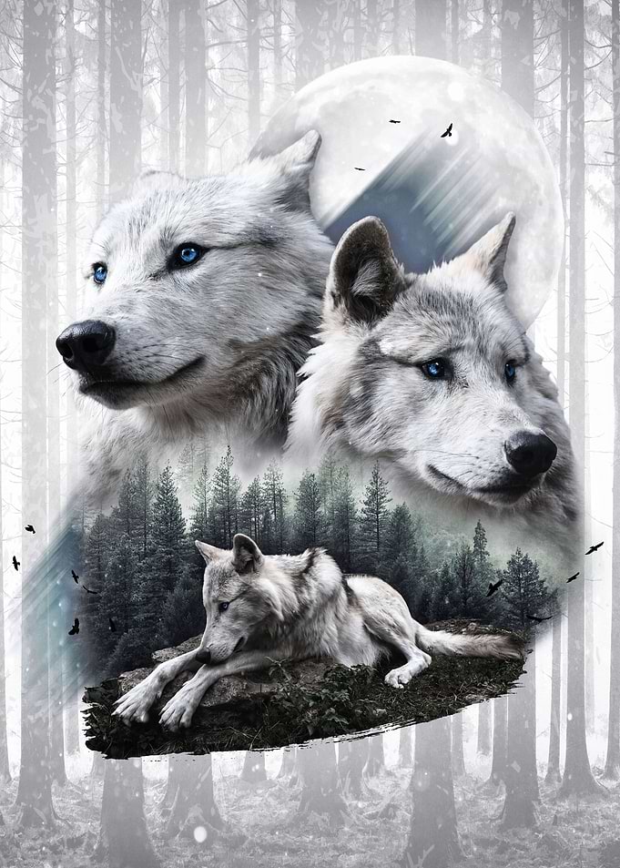 White Wolves
