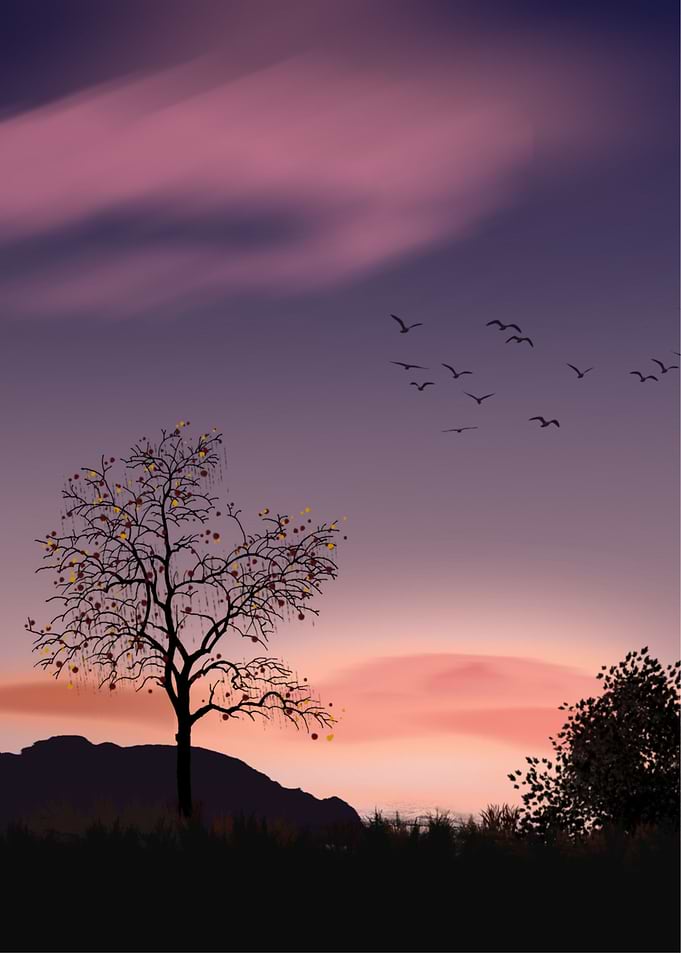 Nature Trees Purple Sky