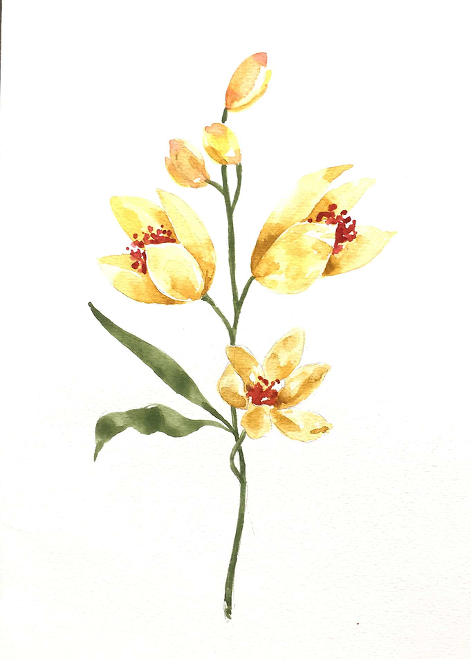 Botanical