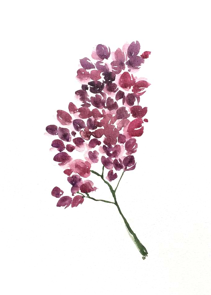 Botanical