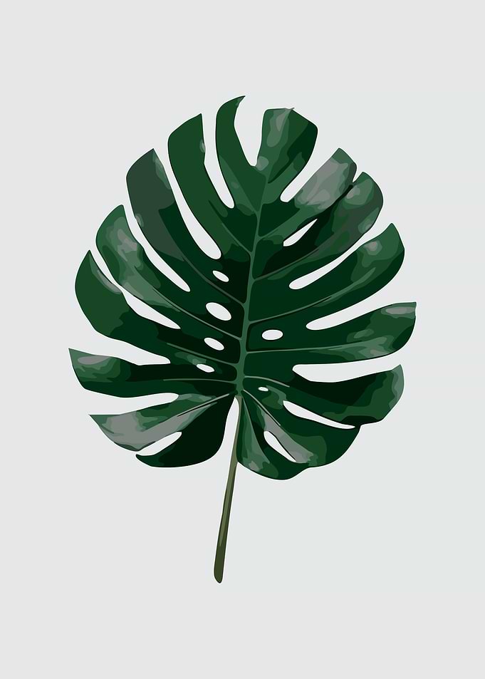 The Leaves 1