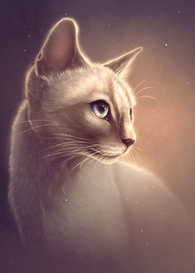 Siamese Cat Portrait
