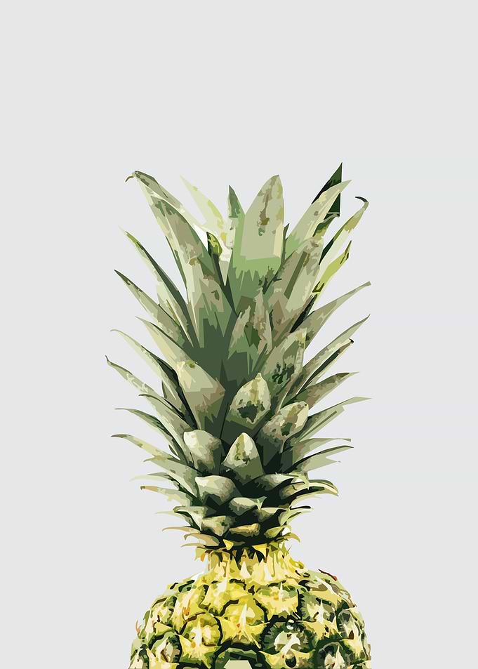 Pinneaple