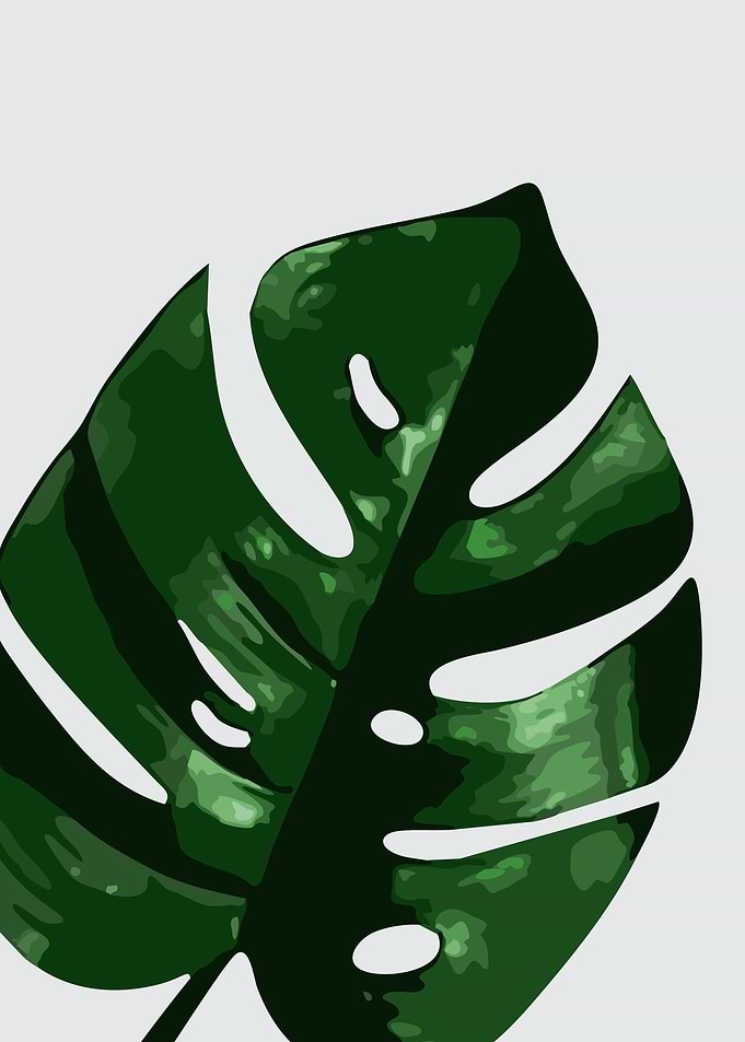 The Leaves 3