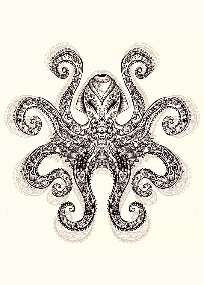 Octopus