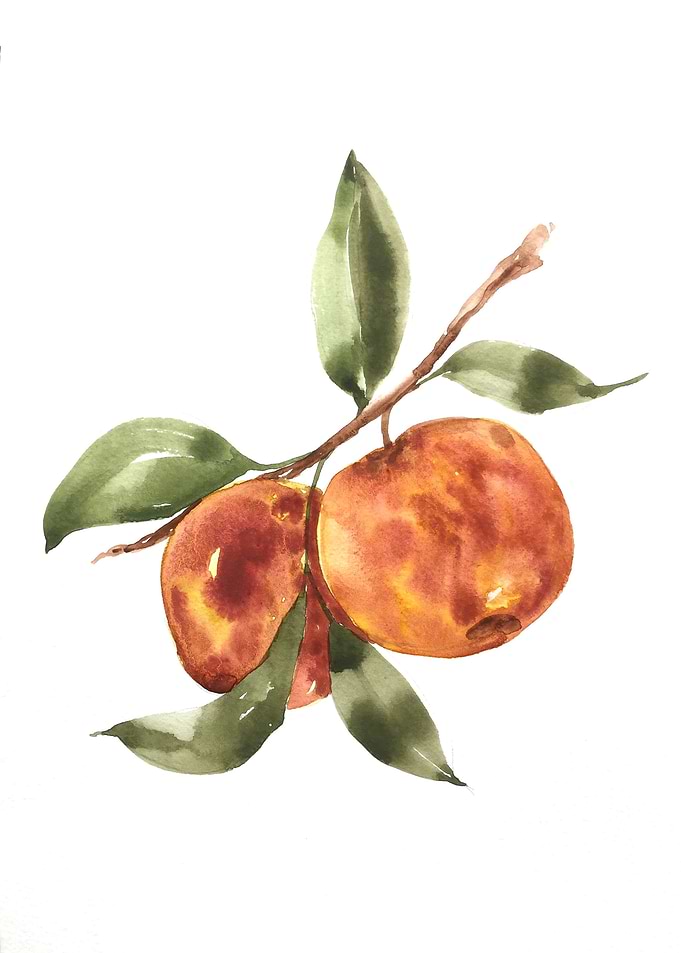 Fruit
