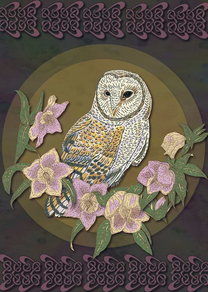 Celtic Barn Owl