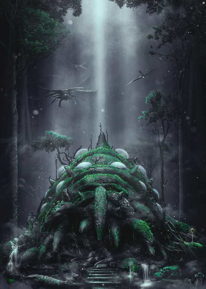 The Fungus Forest
