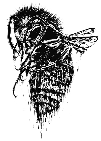 Wasp Ink Dripping
