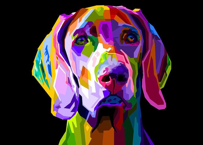 colorful weimaraner dog
