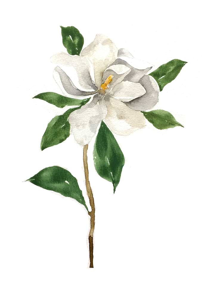 Botanical