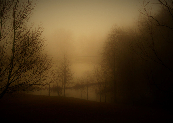Misty Morning